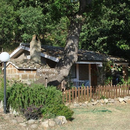 Azienda Agricola Biologica La Cardellina Tolfa Extérieur photo