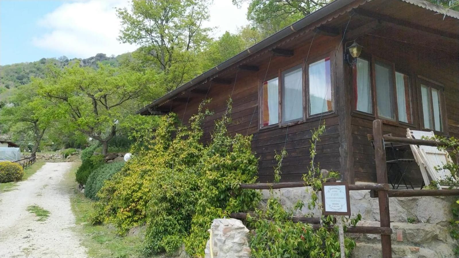 Azienda Agricola Biologica La Cardellina Tolfa Extérieur photo