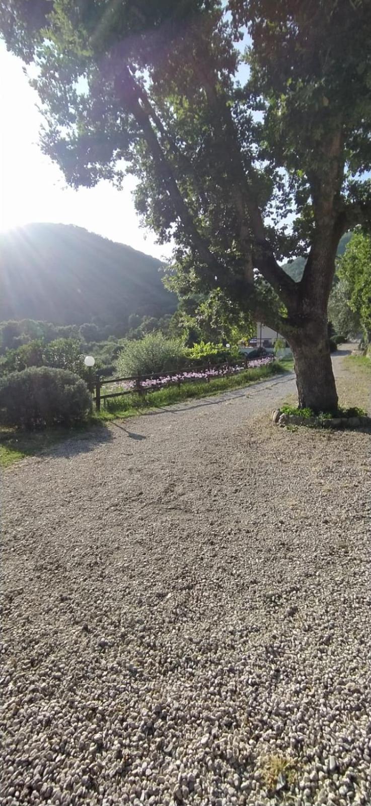 Azienda Agricola Biologica La Cardellina Tolfa Extérieur photo