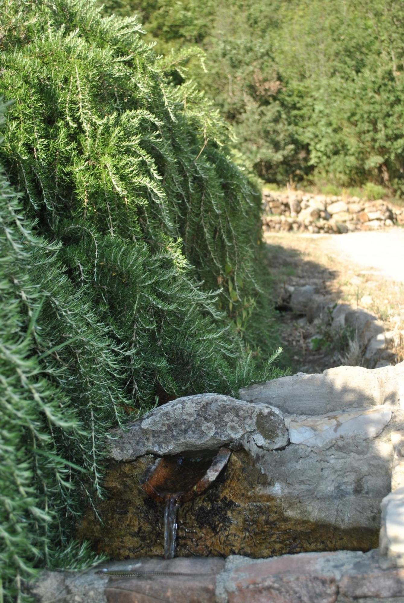 Azienda Agricola Biologica La Cardellina Tolfa Extérieur photo