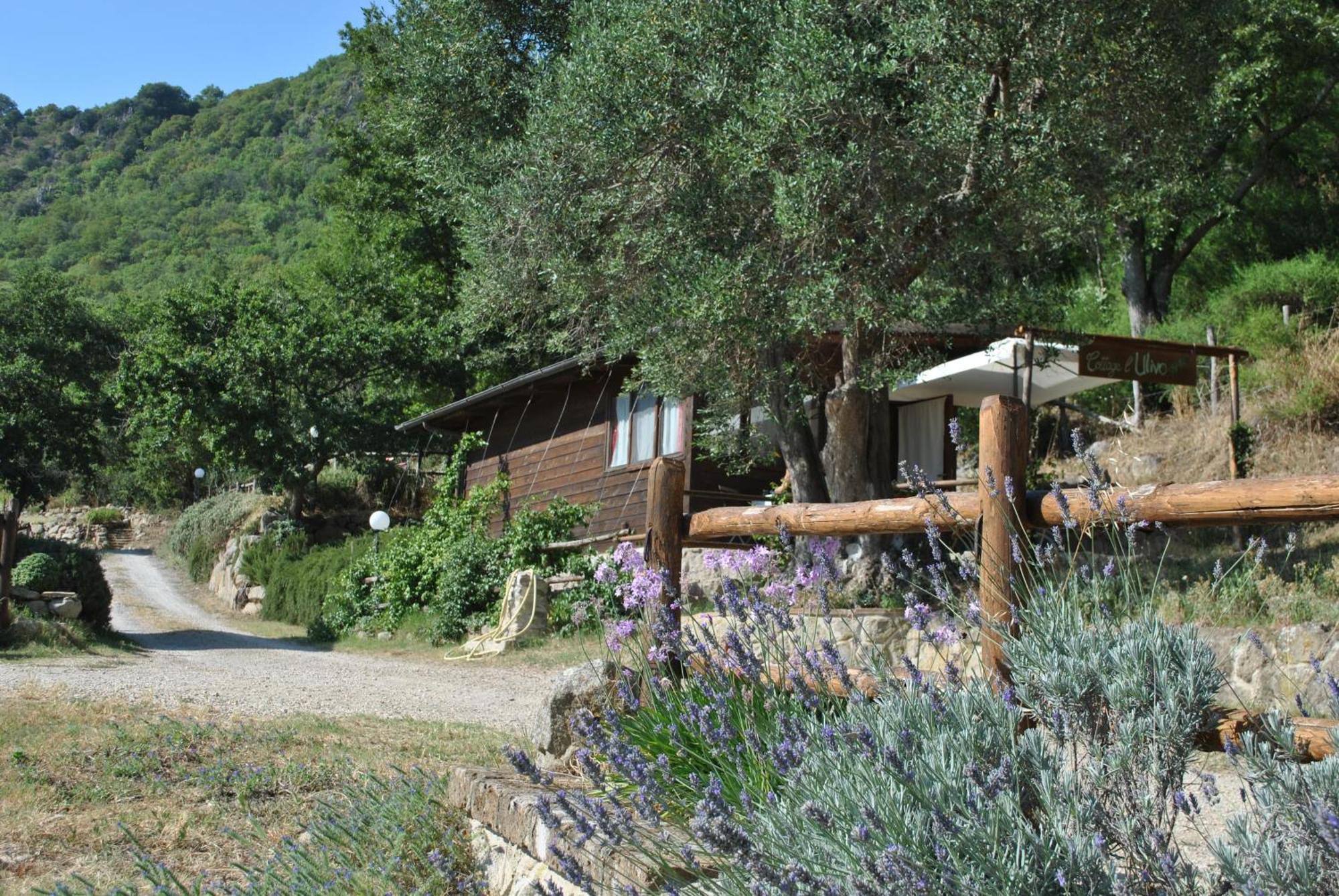 Azienda Agricola Biologica La Cardellina Tolfa Extérieur photo