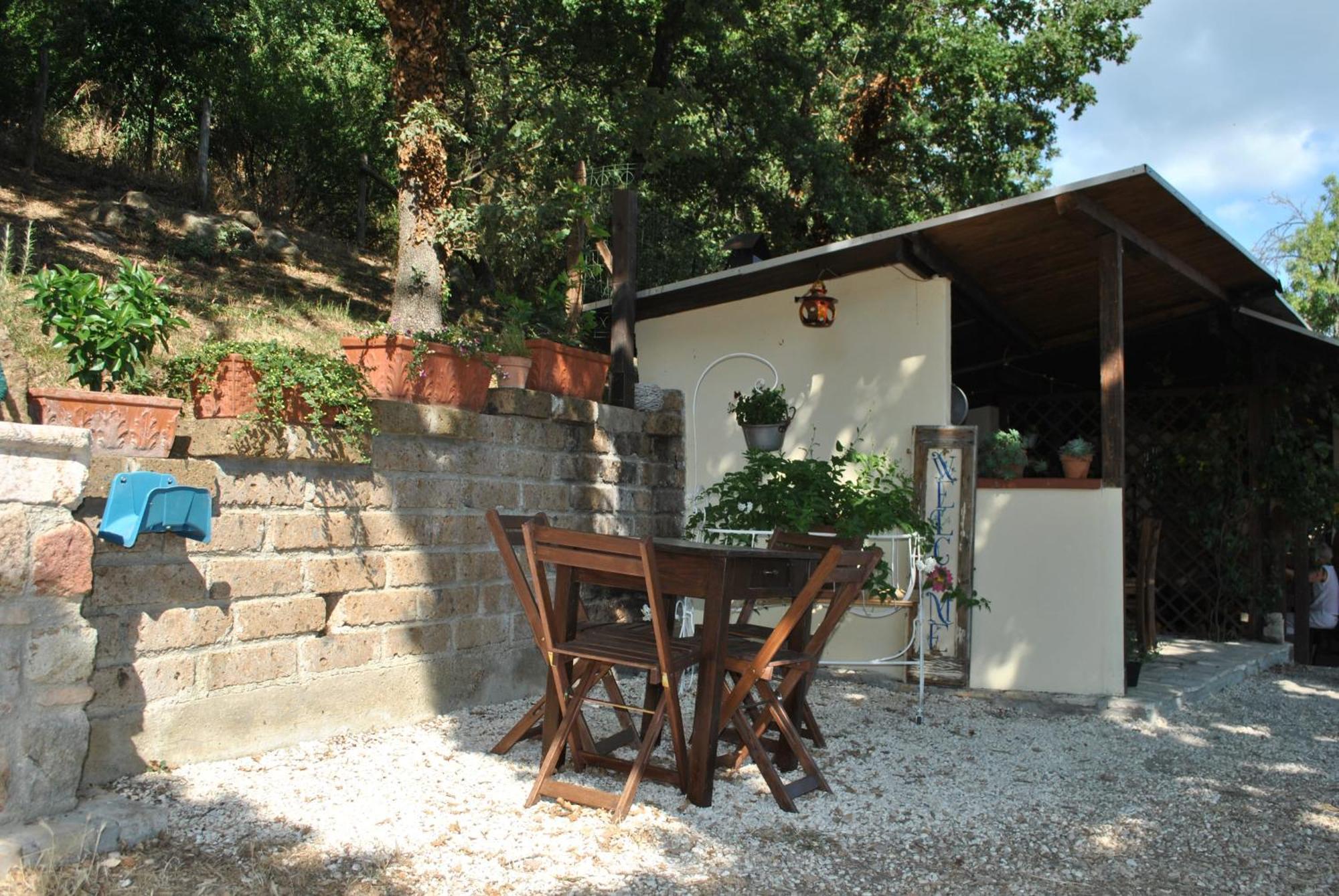 Azienda Agricola Biologica La Cardellina Tolfa Extérieur photo