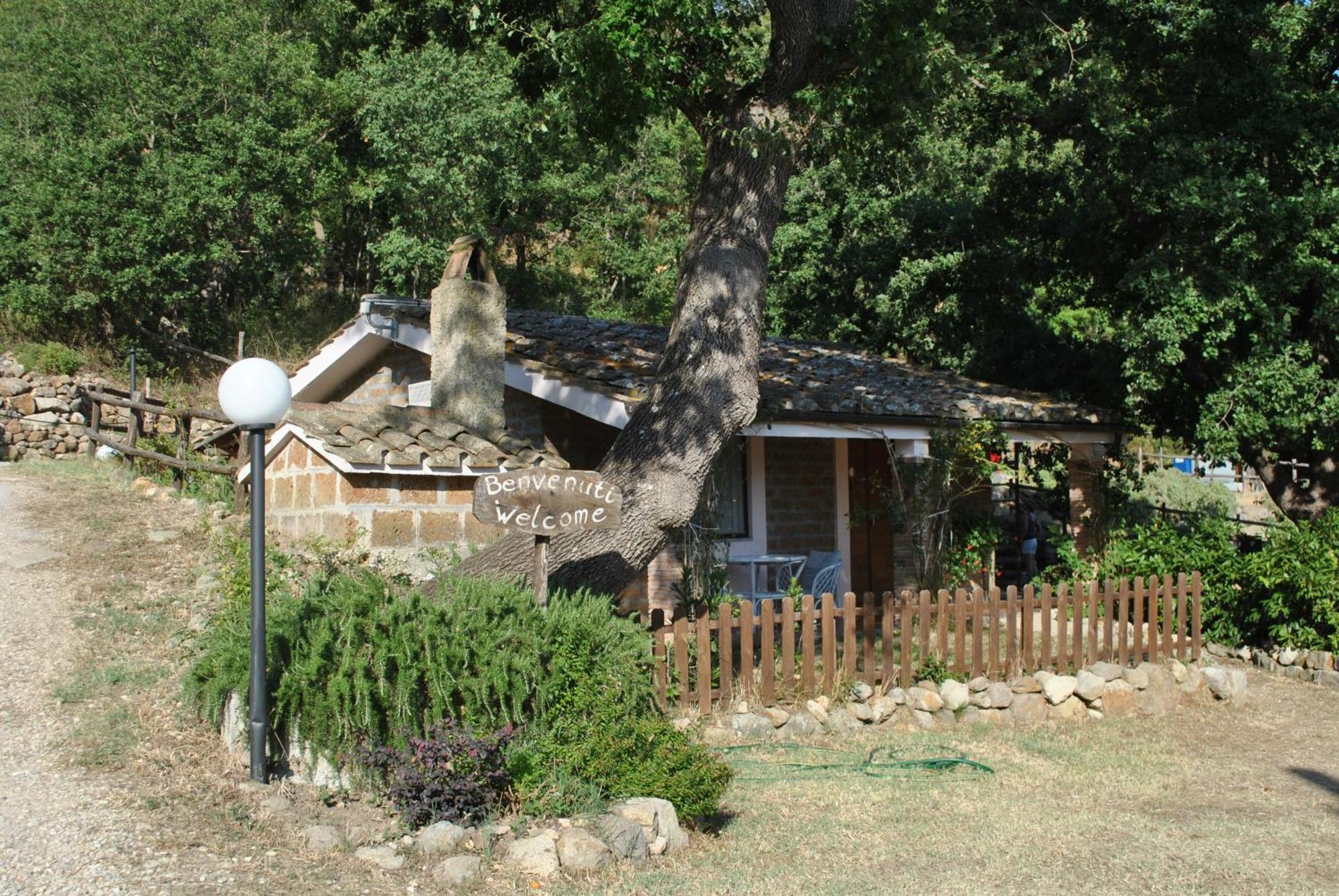 Azienda Agricola Biologica La Cardellina Tolfa Extérieur photo