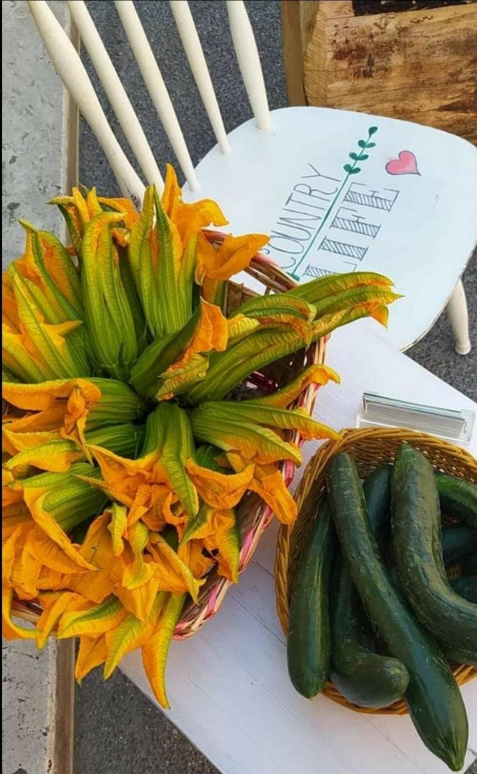 Azienda Agricola Biologica La Cardellina Tolfa Extérieur photo