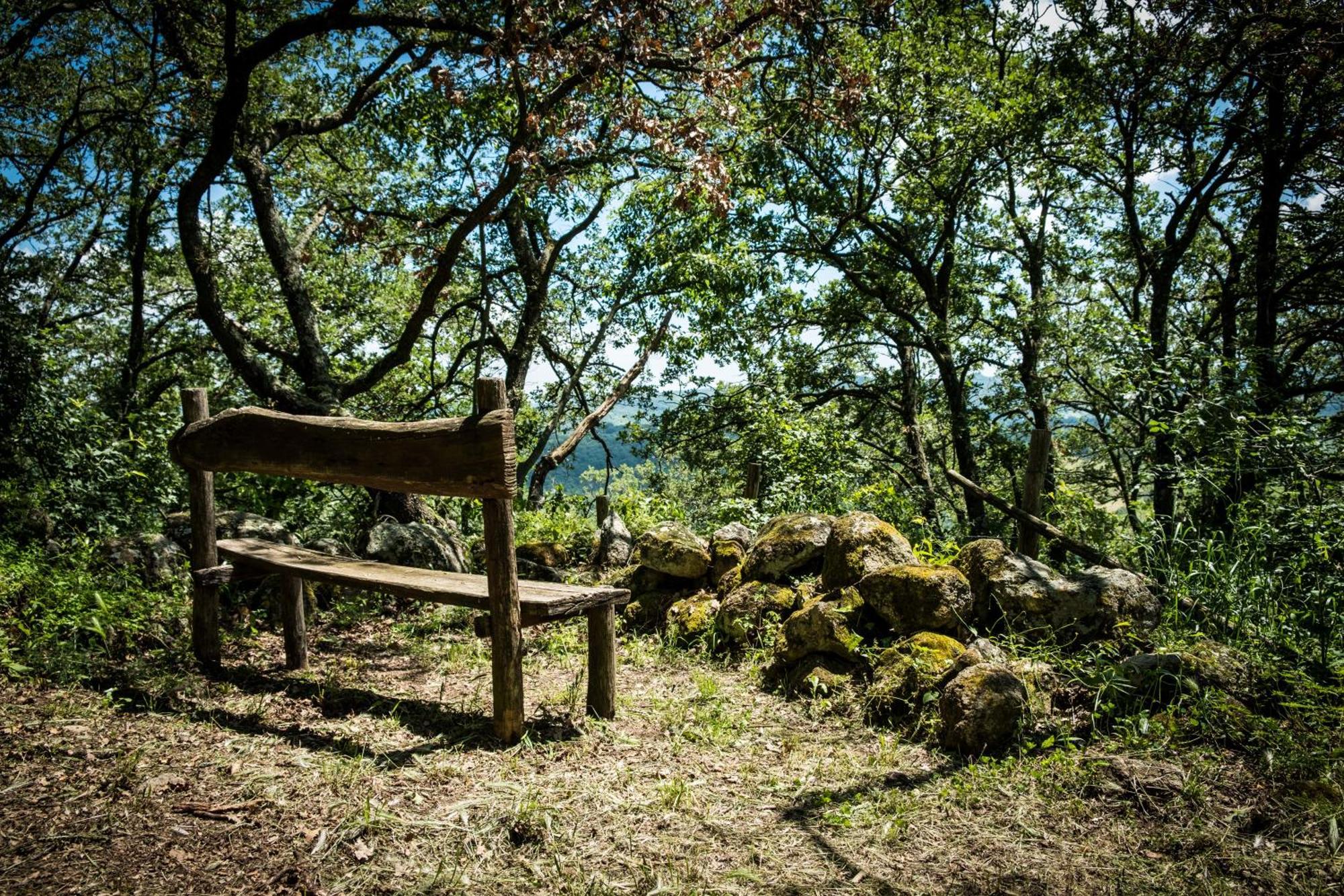 Azienda Agricola Biologica La Cardellina Tolfa Extérieur photo
