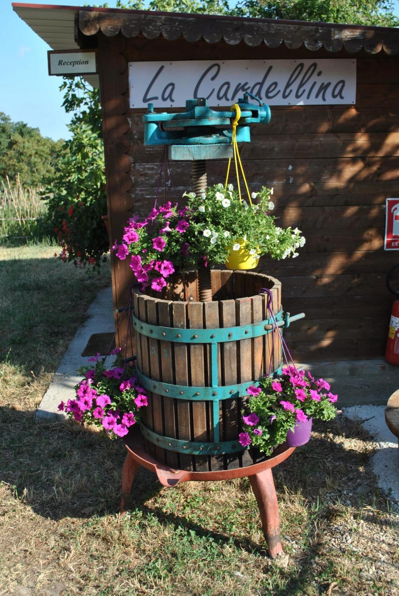 Azienda Agricola Biologica La Cardellina Tolfa Extérieur photo