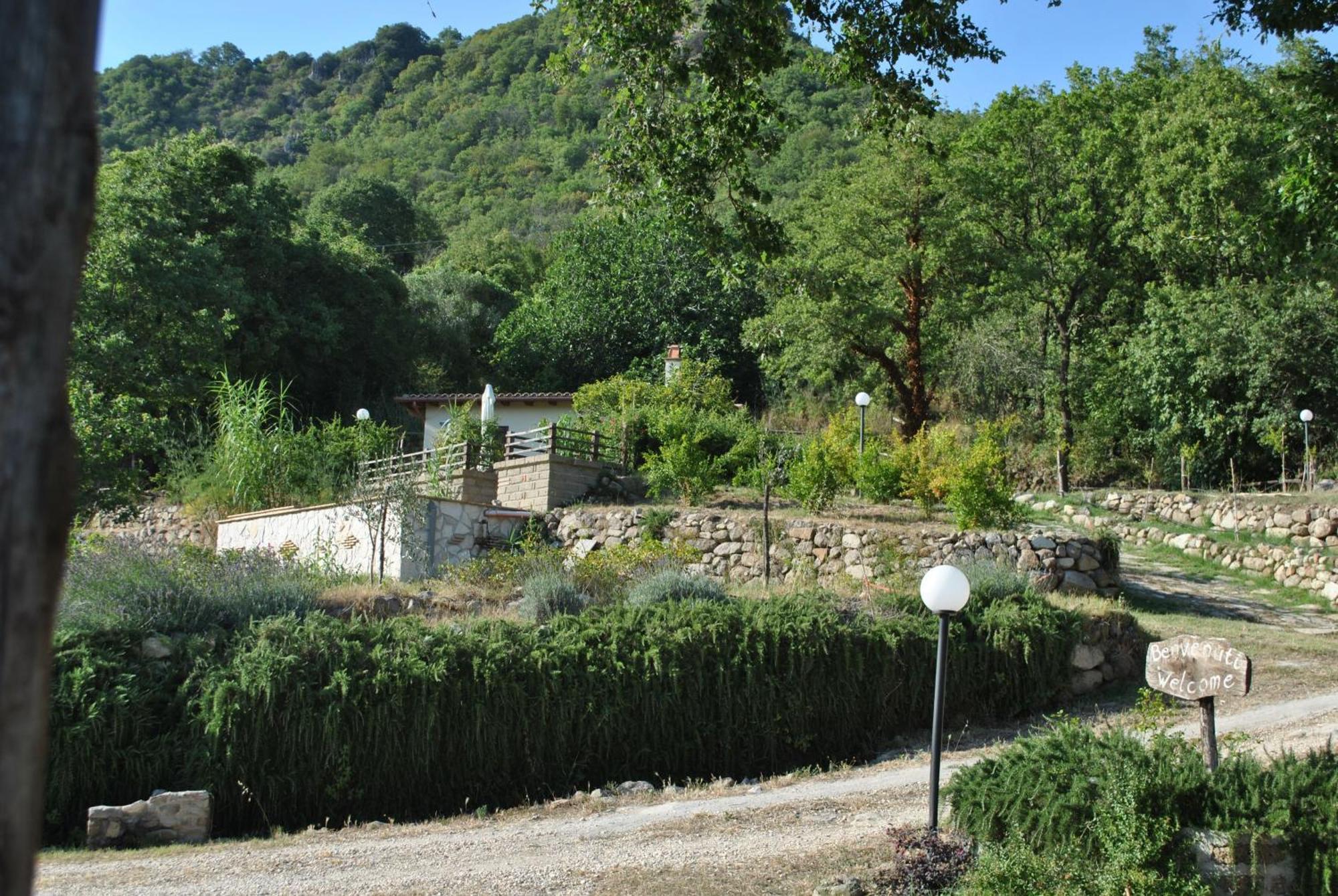 Azienda Agricola Biologica La Cardellina Tolfa Extérieur photo