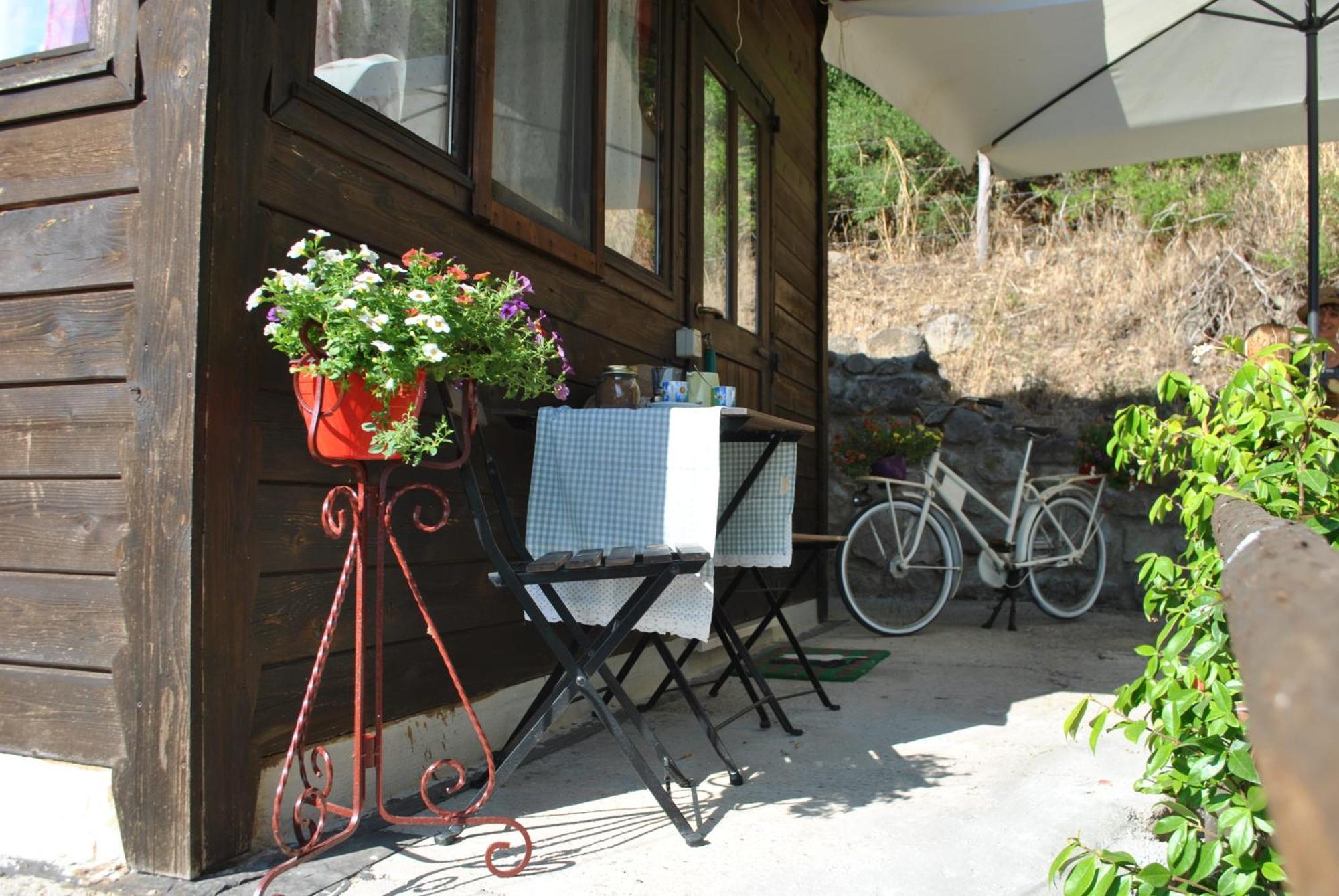 Azienda Agricola Biologica La Cardellina Tolfa Extérieur photo