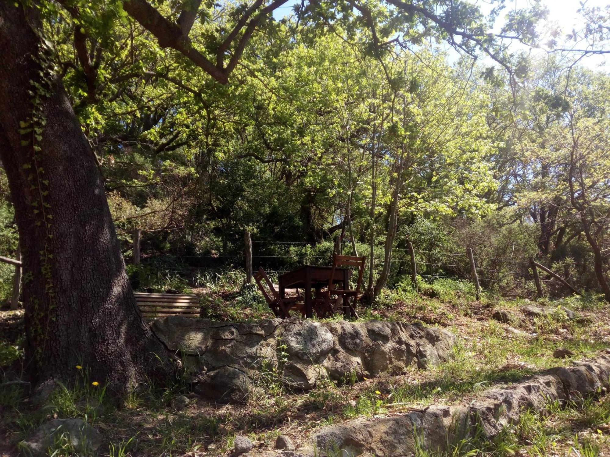 Azienda Agricola Biologica La Cardellina Tolfa Extérieur photo