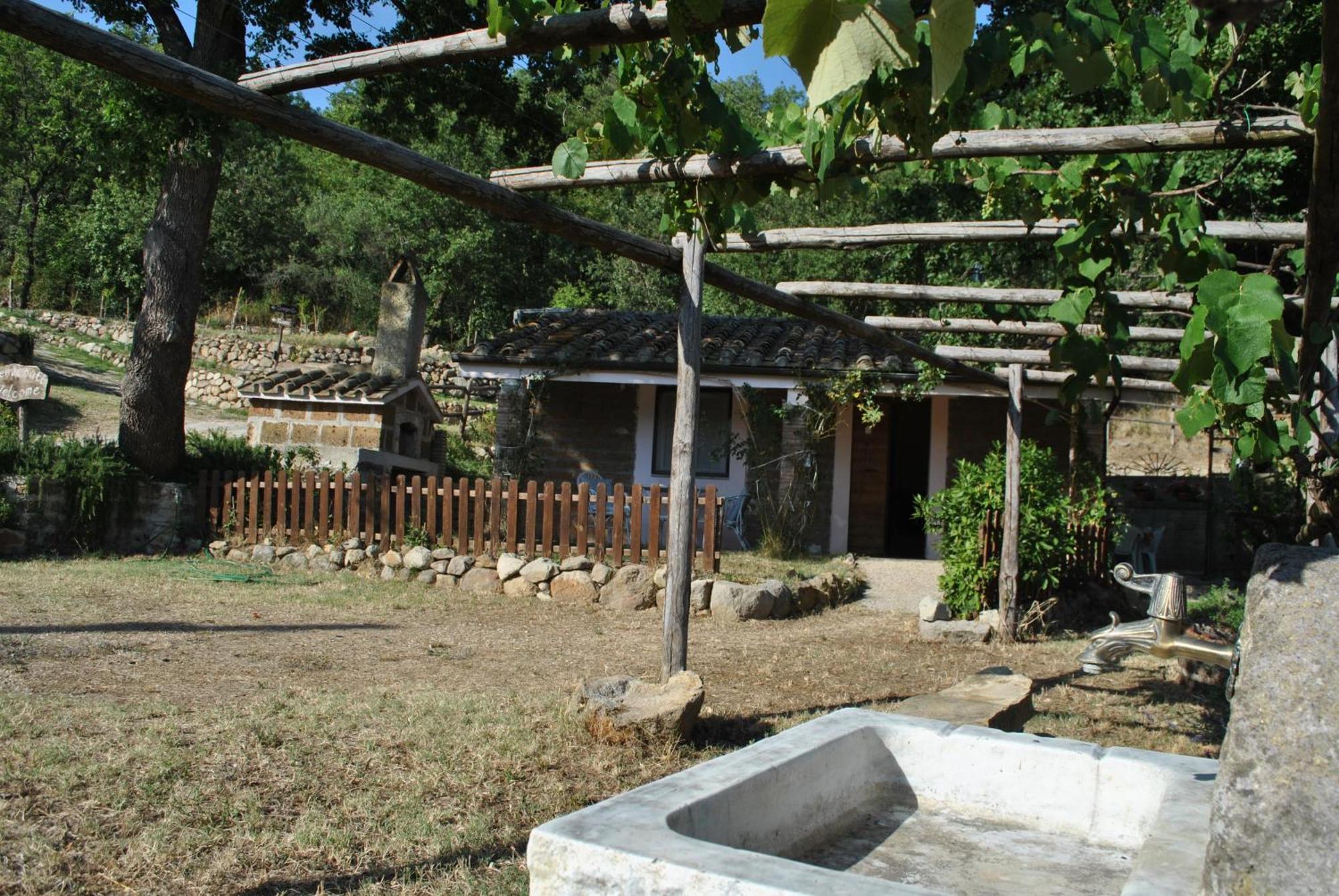 Azienda Agricola Biologica La Cardellina Tolfa Extérieur photo