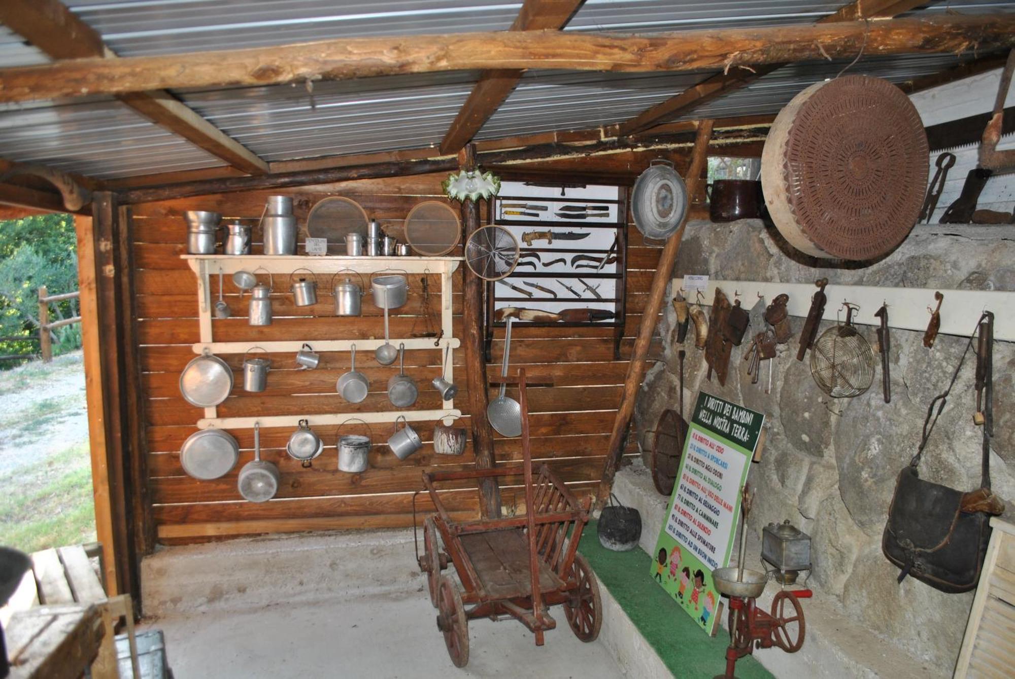 Azienda Agricola Biologica La Cardellina Tolfa Extérieur photo