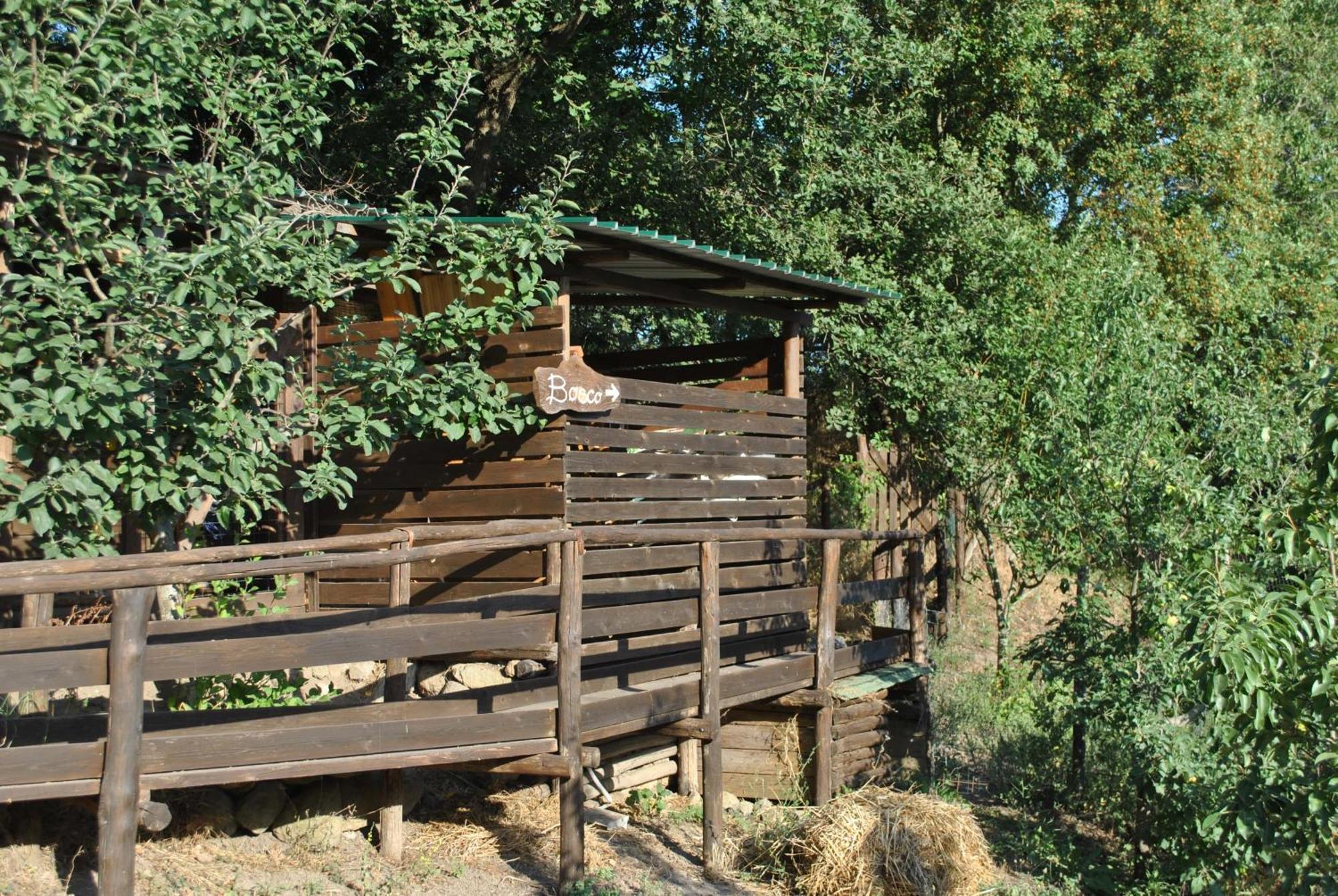 Azienda Agricola Biologica La Cardellina Tolfa Extérieur photo